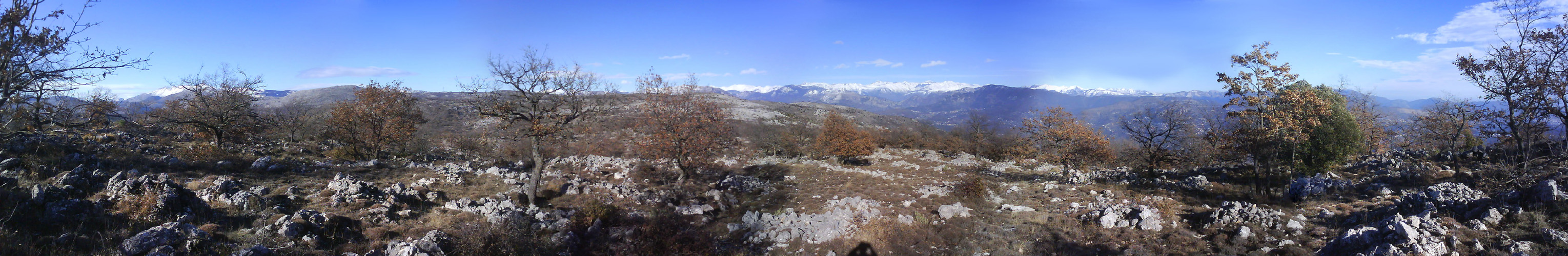 Panorama