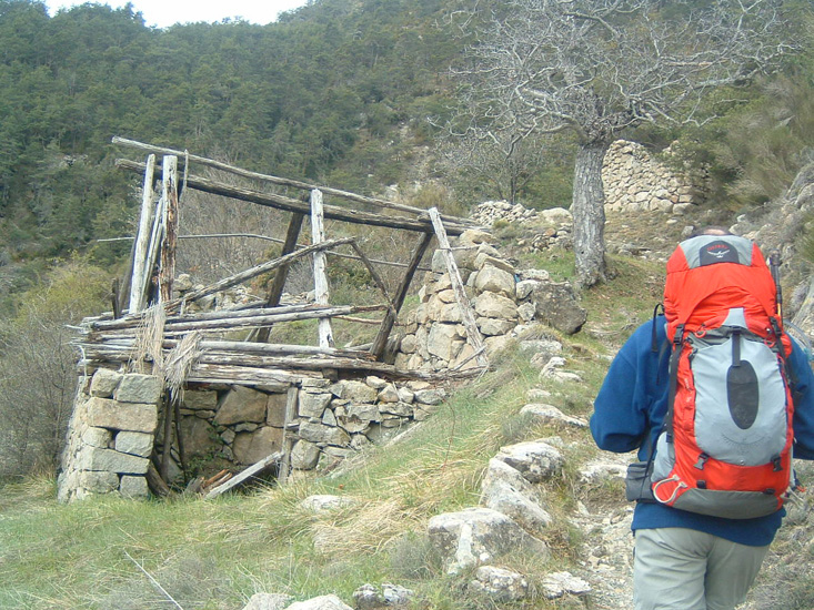 Bernard S19