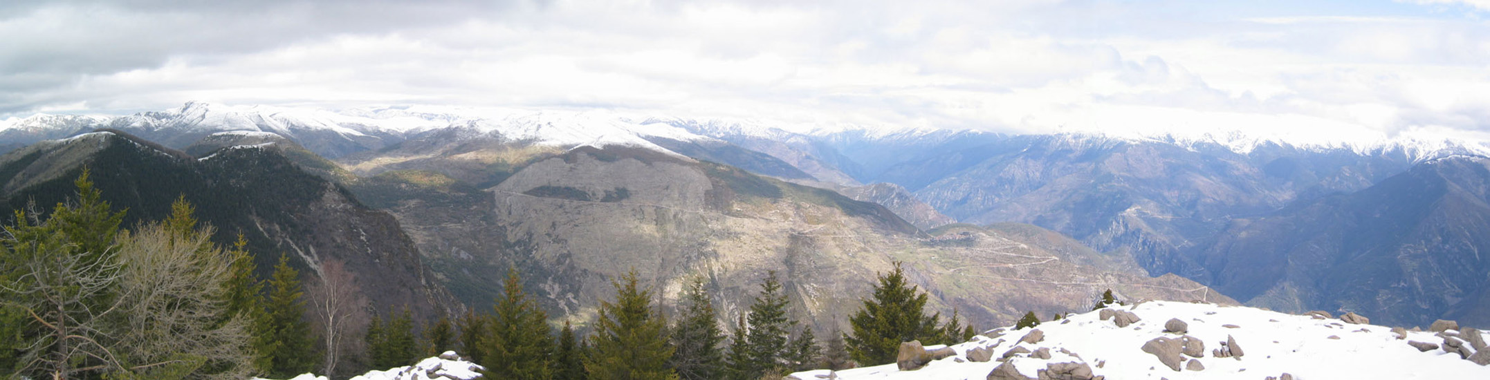 PTPano1