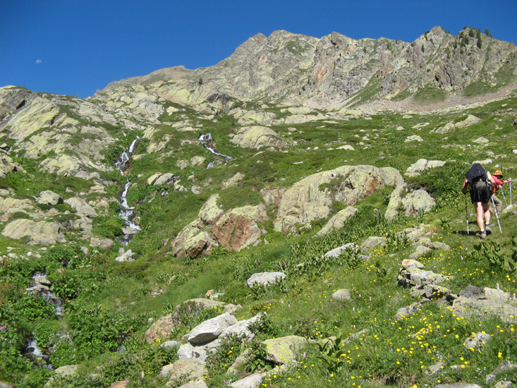 Orgial16