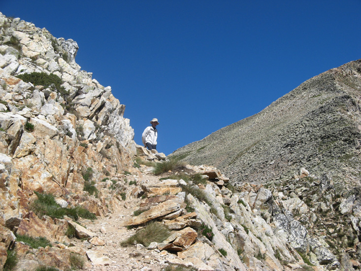 Orgial27
