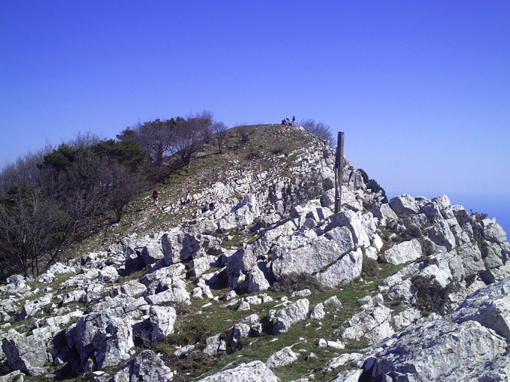 Alain 06
