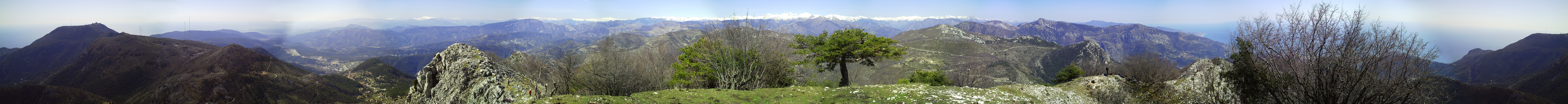 Panorama
