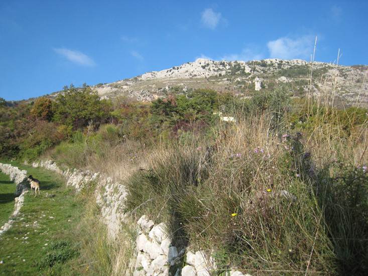 Philippe 10