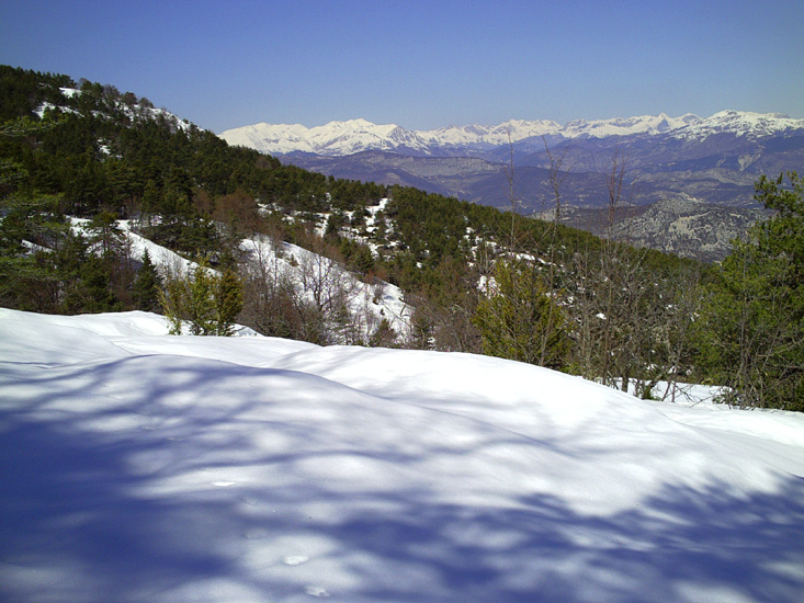 Image 07