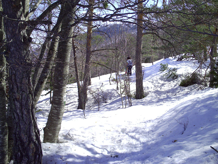 Image 08