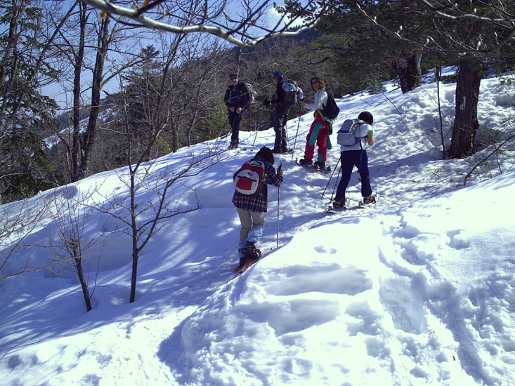 Image 10