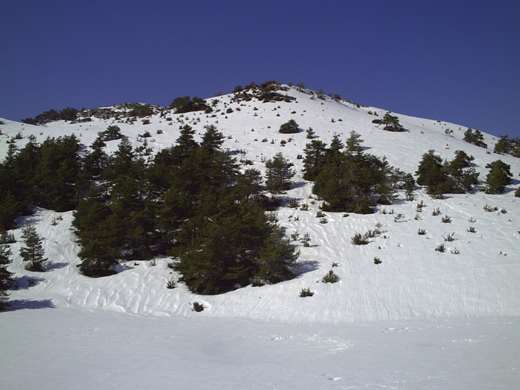 Image 13