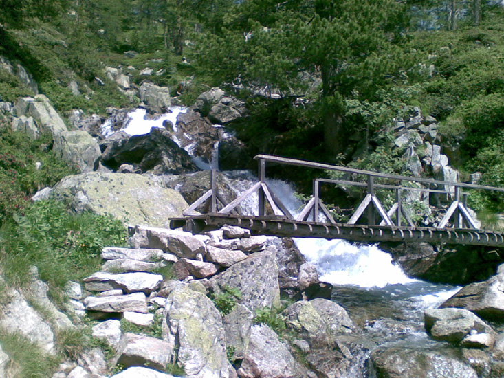 Dominique 01