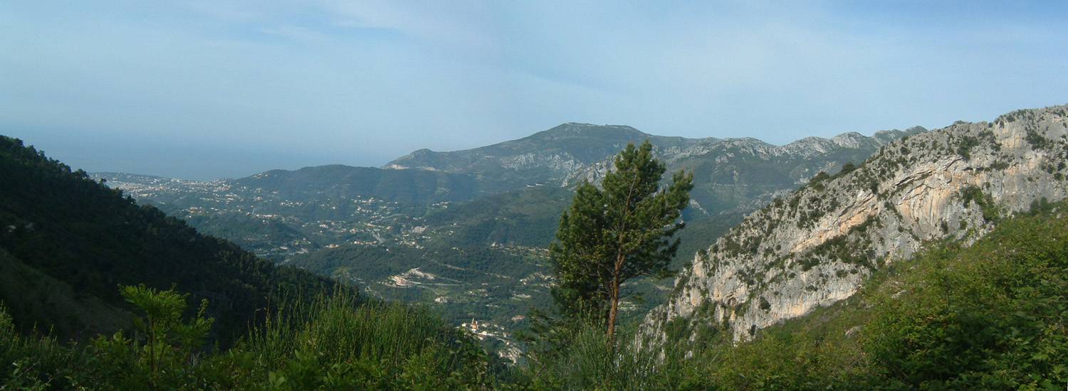 Pano BS1