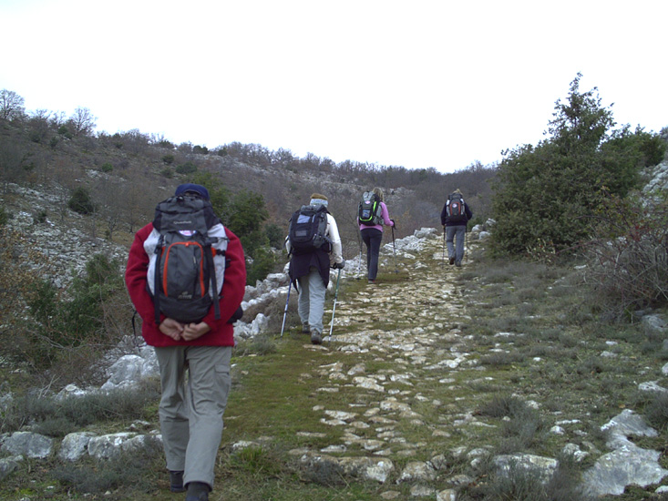 Photo 03