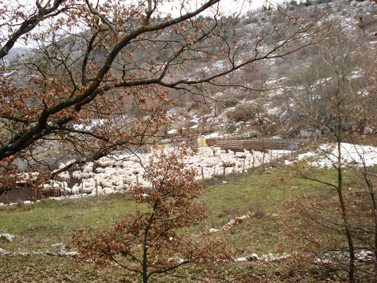 Photo 08