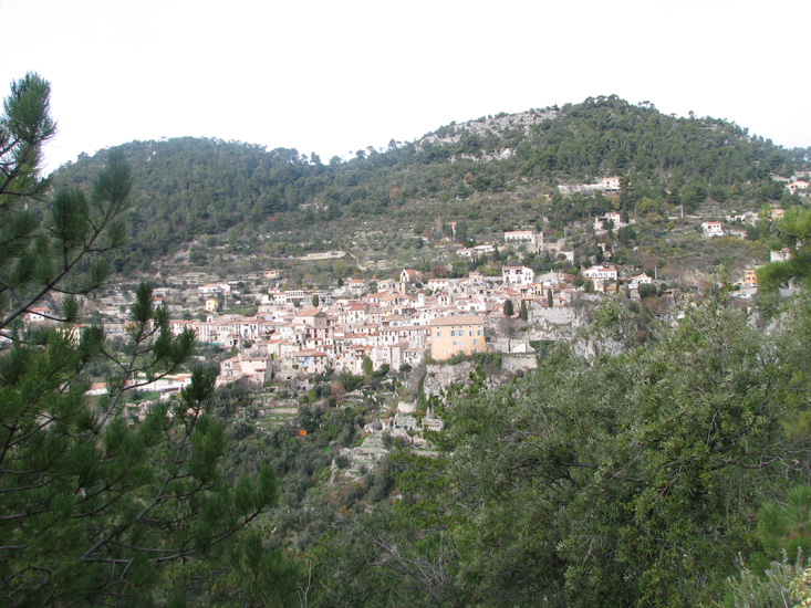 Jacques 12