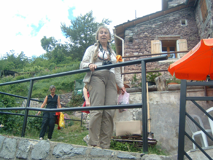 Bernard S40