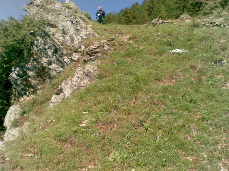 Dominique 01