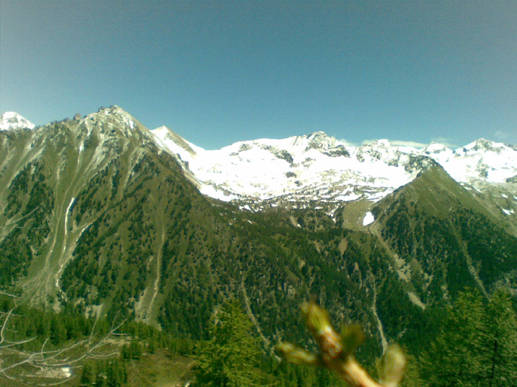 Dominique 03