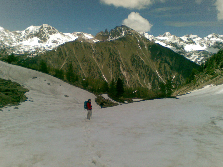 Dominique 04
