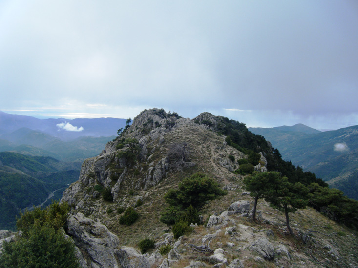 Catherine 38