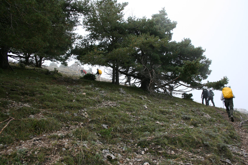 Evelyne 29
