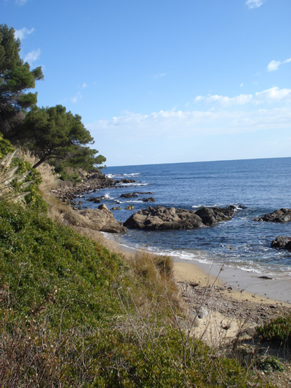 Roselyne 36
