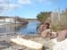 Roselyne 28