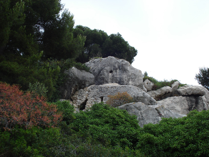 Roselyne 31