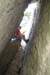 Roselyne 25