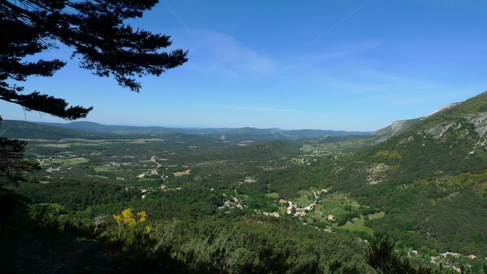 Olivier 01