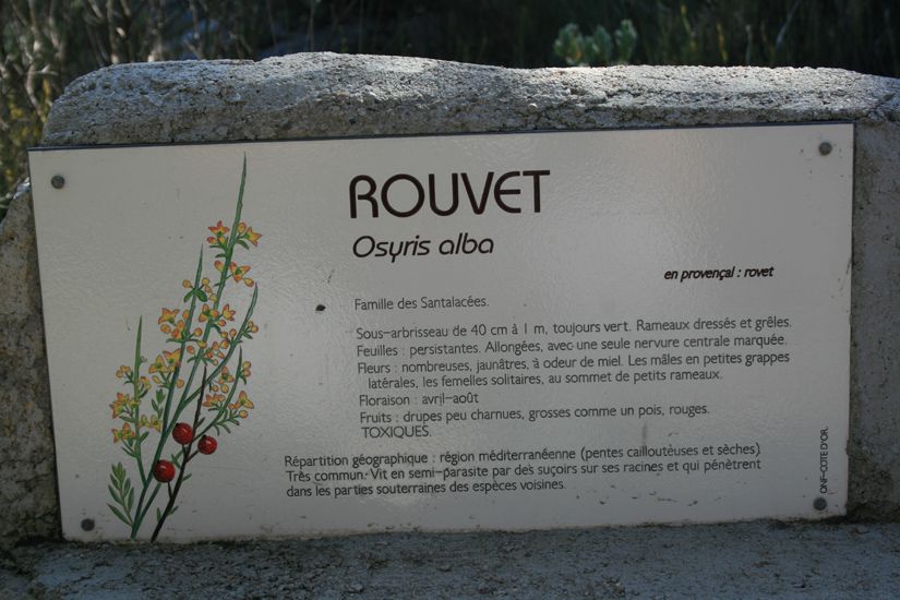 Evelyne 29