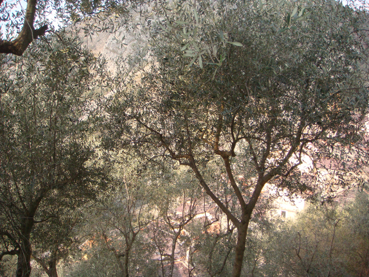 Axelle 02