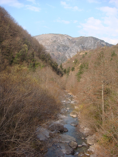 Axelle 09