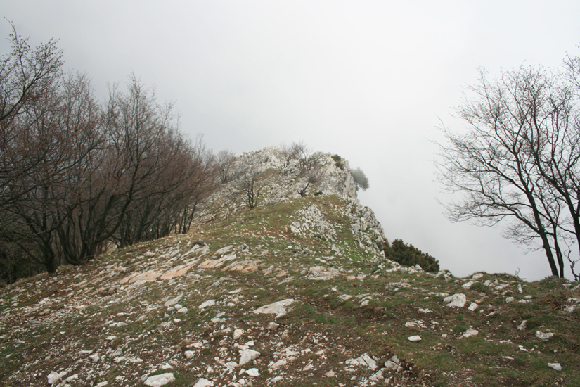 Evelyne 31