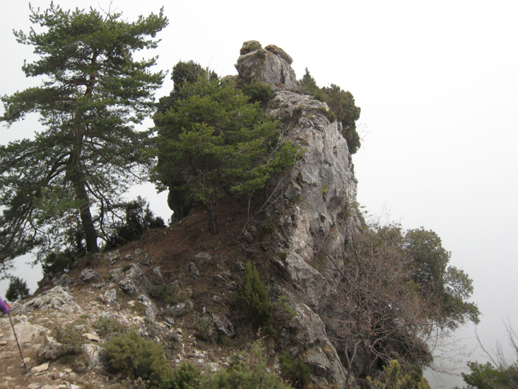 Philippe 28
