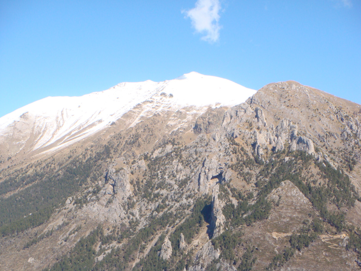 Axelle 13