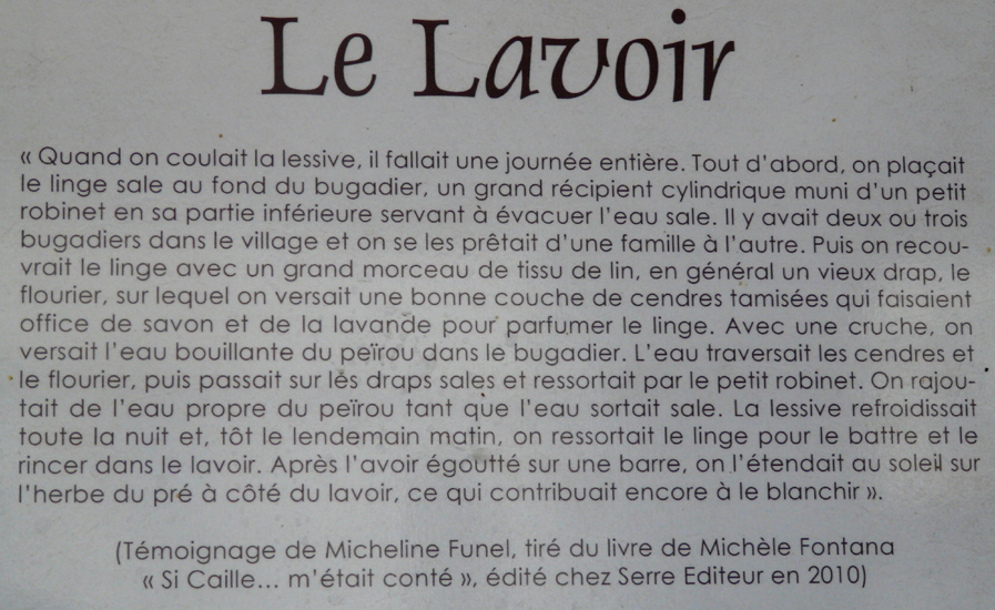 Evelyne 31