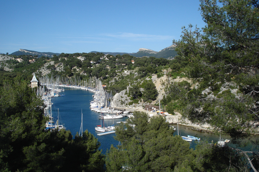 Roselyne 20