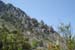 Roselyne 30