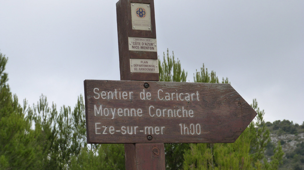 Evelyne 36