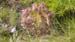 Evelyne 107