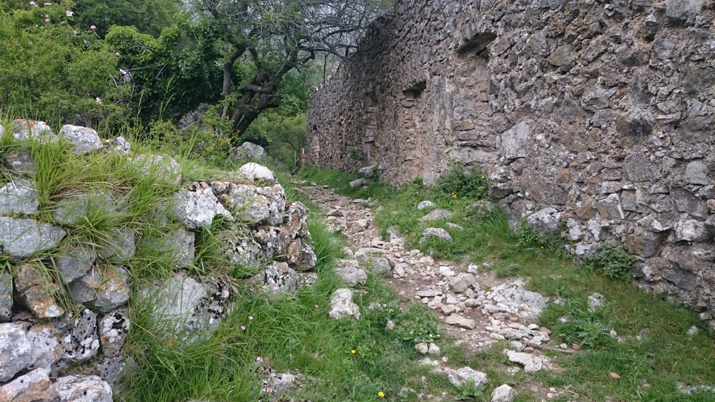 Alain 07