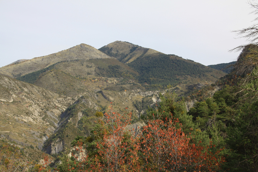 Michel 18