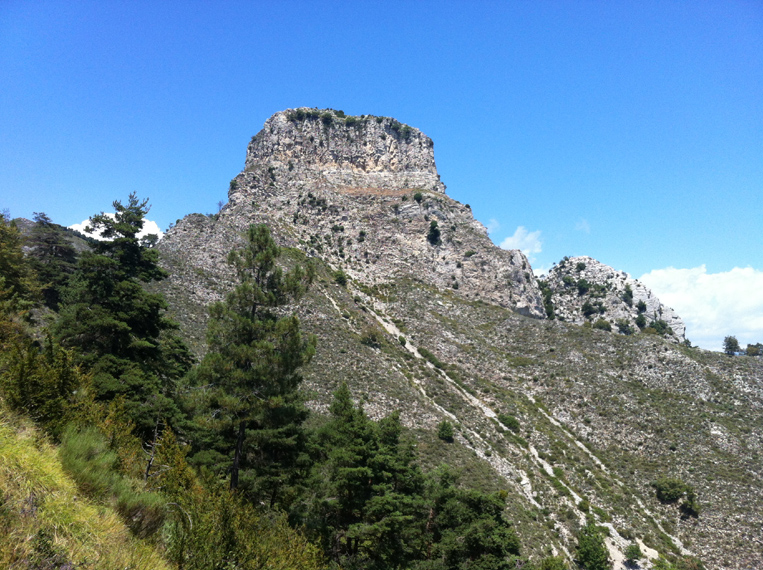 Dominique L07