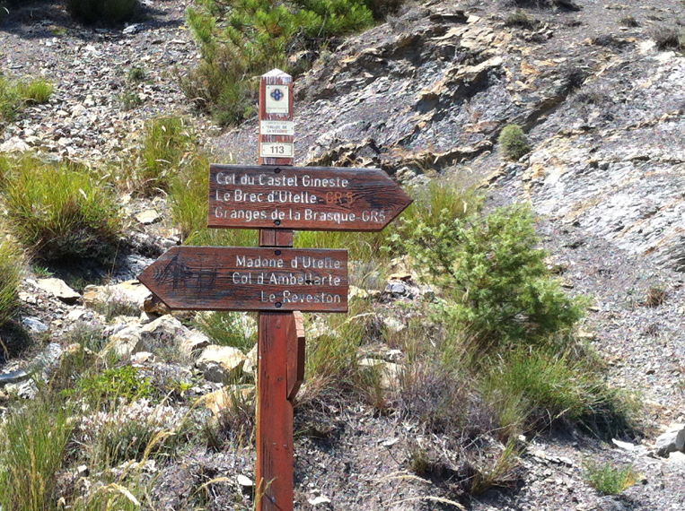 Dominique L10