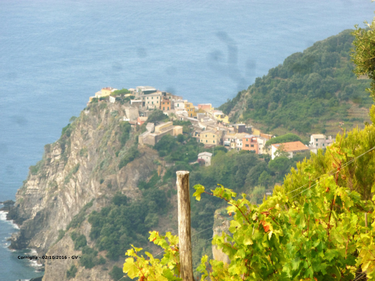 GV - Corniglia vue d'en haut