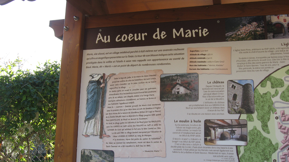 Martine 13