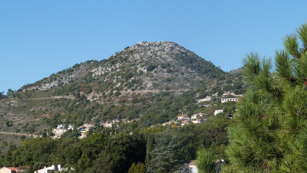 Evelyne 49