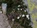 Evelyne 58