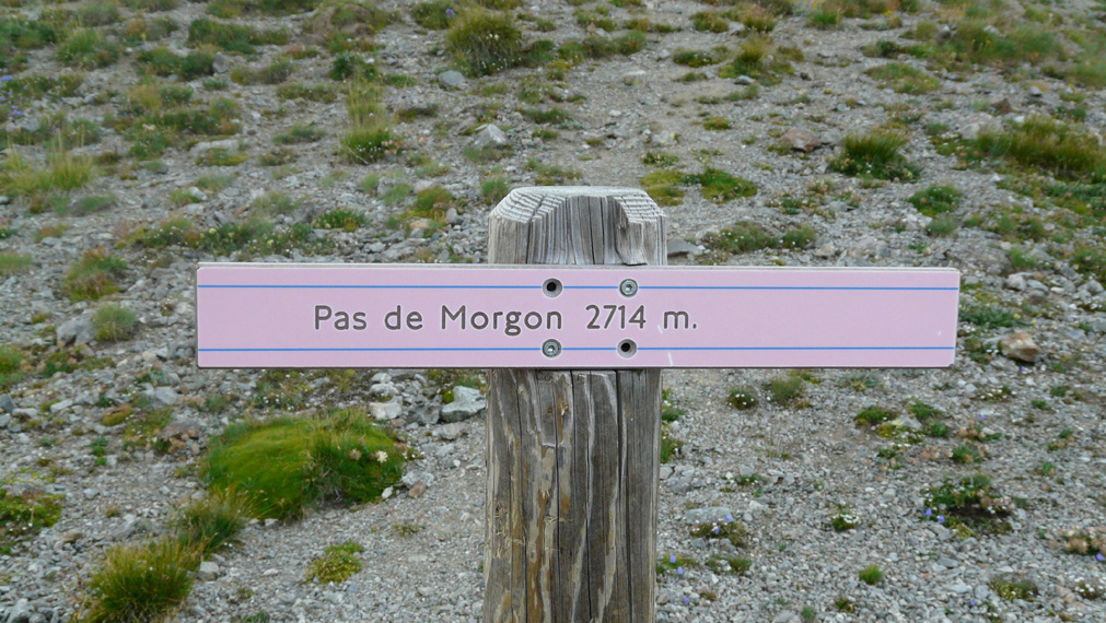 Alexandre 32