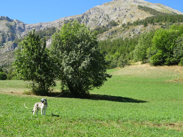Mireille 05