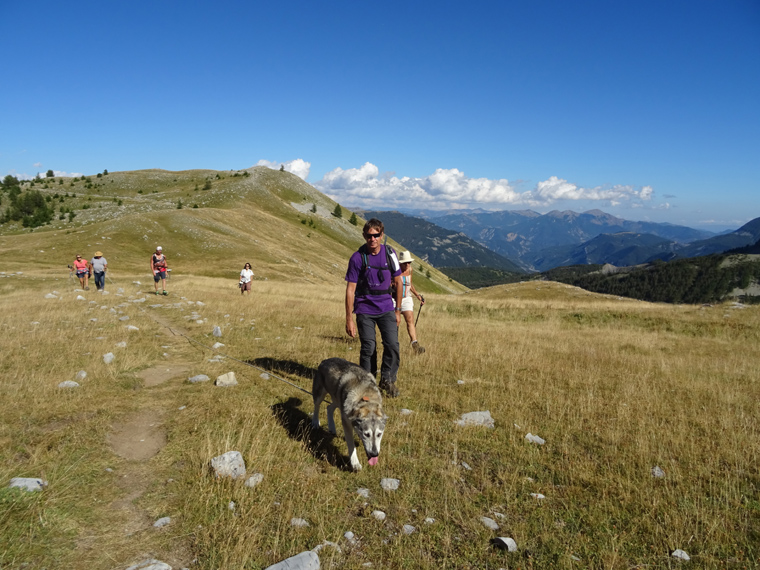 Mireille 39
